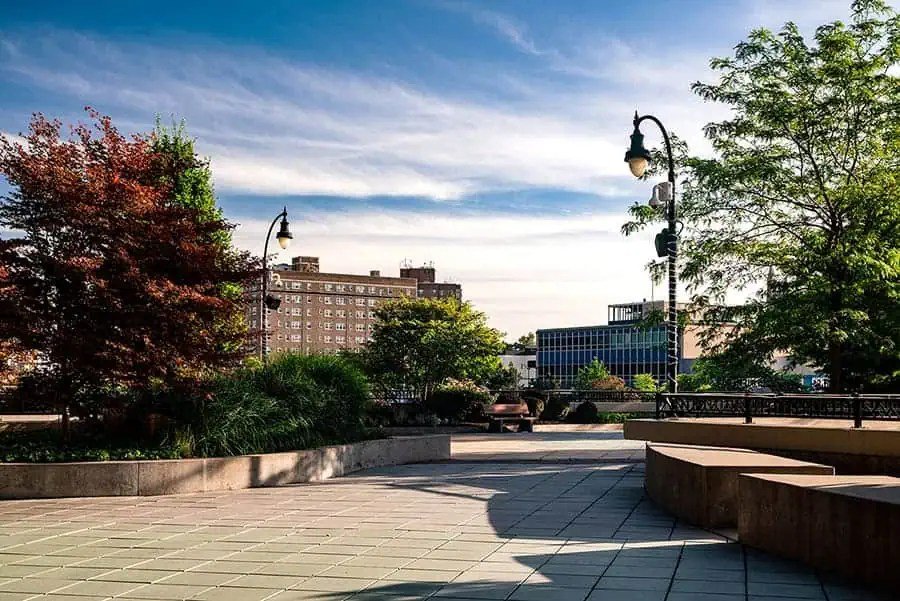 Commercial landscape featuring trees surrounding an office building